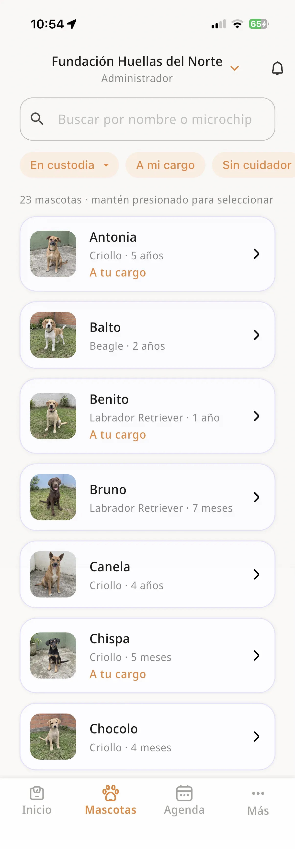 Las mascotas de la fundación en la app, con los filtros de custodia y las que están a tu cargo marcadas